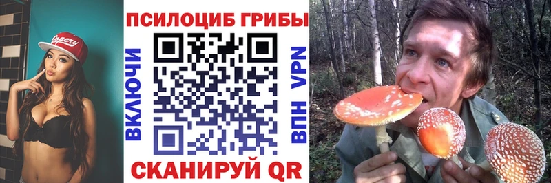 кракен как войти Торжок Галлюциногенные грибы ЛСД